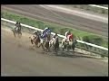 Quintralita - Cl. Alberto Solari Magnasco Gr. I
