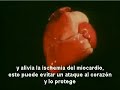 GANODERMA - REISHI CIENCIA - GANOCAFE