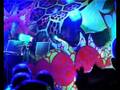 Full On / Psytrance / Dark / Progressive