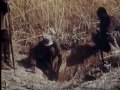 Ushuaia - Chasse aux serpents