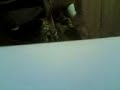 http://up5.m5zn.com/pukqsrd69ea7/________________________________.3gp.htm