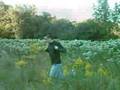 Tiptoe Through the Tulips-Tiny Tim