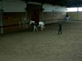 voltige en cercle
