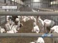 Clicca per visualizzare il video : Laghi & Monti: Gal, Bando Filiera: ecco i protagonisti