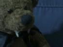 Vampire Bear - Honey Spoon Story