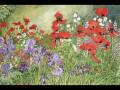 RESPIGHI � Ancient Airs and Dances � Suite N� 1
