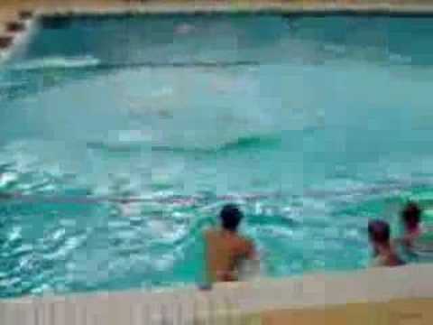 Funny Stupid Videos...
