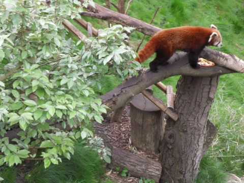 Image de prévisualisation YouTube