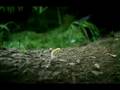 videos de Cool Xbox Ad