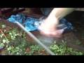 videos de sharping a ka-bar and cold steel S.R.K