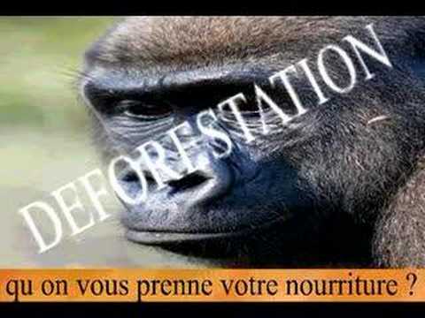 Image de prévisualisation YouTube