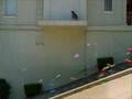 making of sony bravia