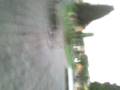 videos de Bloody Y Buble (koala )