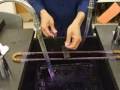 Gram staining