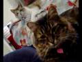 Frank and Arabella