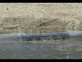 Calumet City Flood Awareness Video 2/5 Calumet City Flood Awareness Video 2/5