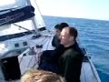 jedrenje, sailing