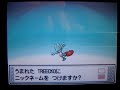 Shiny Treeko hatches via Masuda Method. One more shiny hoenn starter obtained.