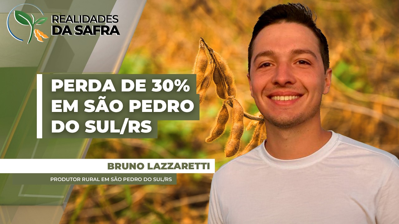 Após quase 30 dias sem chuvas, soja perdeu pelo menos 30% do potencial produtivo em São Pedro...