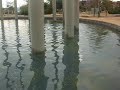 YATE RC NAVEGANDO EN LO TORRENT III