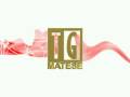 Click to View : Sigla TG TeleRadioMatese
