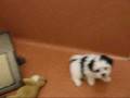 videos de MoreShichonPlaytime.wmv