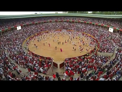 Pamplona: Tierschtzer protestieren gegen Stierhatz