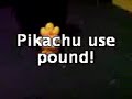 Torchic in real life! Torchic in real life!