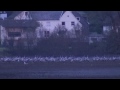 Wenn die Kraniche ziehen - Nachtquartier am Wiesensee