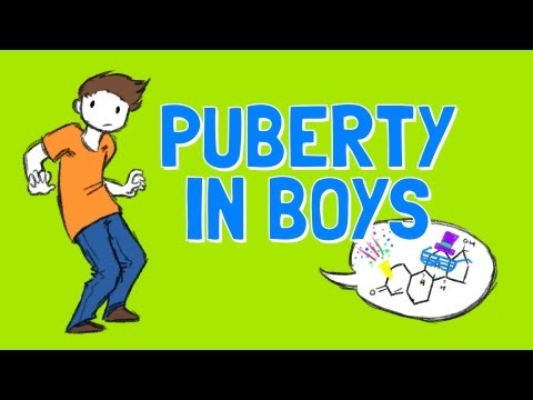 boys - Sign up for our WellCast newsletter for more of the love, lolz and happy! http://goo.gl/GTLhb Today we're exploring puberty in boys, talking about what's hap...