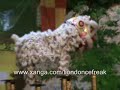 Khuan Loke 6th Anniversary Dinner - Jongs Performance Part 2