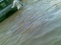 Video035
