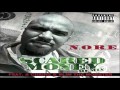 N.O.R.E. Scared Money (Remix) Video and Lyrics
