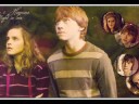 Ron&Hermione - Dal cuore alla testa