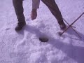 the fish that didn't get away