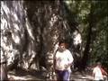 videos de cascata spolverona