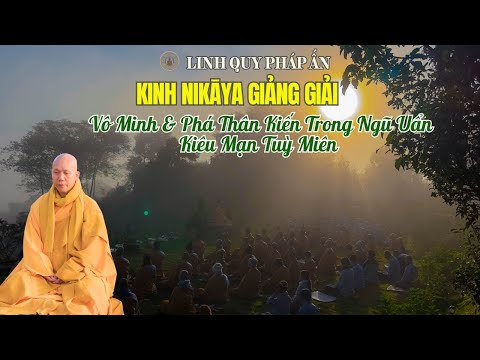Kinh NIKAYA Giảng Giải - Vô Minh & Phá Thân Kiến Trong Ngũ Uẩn - Kiêu Mạn Tuỳ Miên