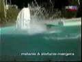 videos de Pleiten Pech und Pannen