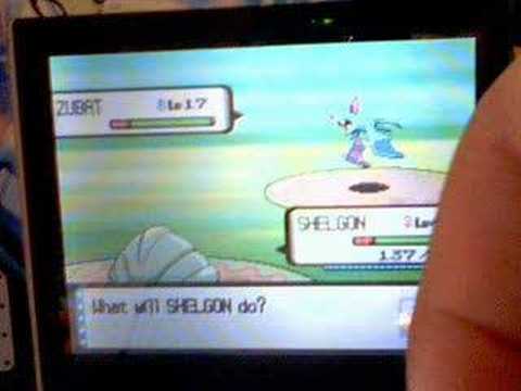 shelgon