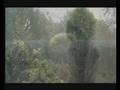 videos de Raiders of The Back Yard 2