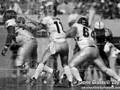 Wake Forest Football 2006-2007