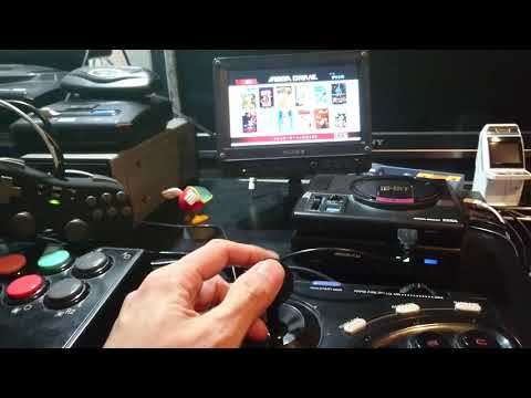 動画