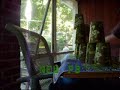 Some 3-6-3s and Cycles