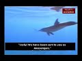 bleach 168 1of5 (ENG SUBBED)