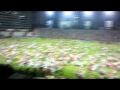 Comemoração Náutico