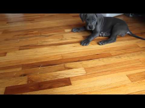 Big Girl learning to sit