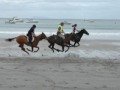 Onetangi Beach Races