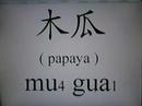 Learn Chinese - timber Learn Chinese - timber