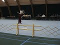 Mambo & Grietje Dogdance canine freestyle