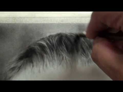 how to draw white hair